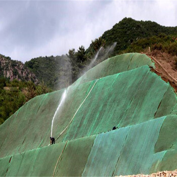 长沙边坡湖南矿山绿化一亩地需要多少种子？