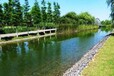 湖南永州直供河道边坡环境美化长期生态绿化专用草花草籽