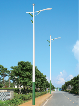 廠家市電路燈新農(nóng)村建設(shè)道路燈
