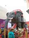 江苏高大的机械大象出租、机械大象制作出售