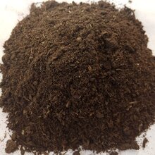 广西北海种蔬菜用哪种肥料比较好北海发酵羊粪牛粪有机肥价格图片