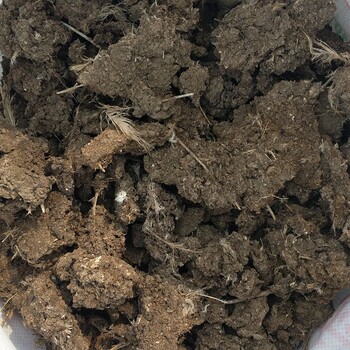 云南元謀干雞糞有機(jī)肥批發(fā)價(jià)格云南元謀蔬菜種植戶都從哪里買干雞糞肥料