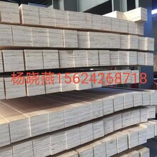 免熏蒸木方山东LVL木方厂家强度高韧性大出口免熏蒸图片