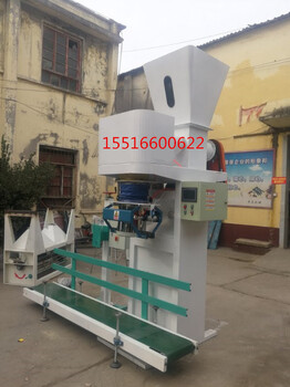 青海自动包装机自动灌包机全国供应