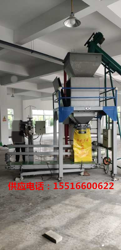 江苏自动装袋机灌包机全国供应