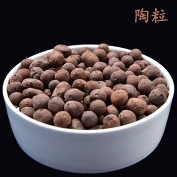 惠州黏土陶粒每天新面貌谊诚陶粒厂家本月新行情价质纯放心使用
