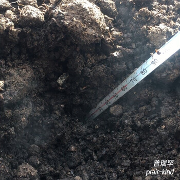 雞糞發(fā)酵的工藝水平達(dá)到了