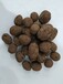 漳州陶粒的作用回填陶粒价格信息粘土陶粒厂价直销