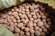 钦州建筑陶粒厂家直供没有中间商回填陶粒价格便宜