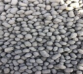 贵州粘土陶粒价格回填陶粒厂家质量生产价格实惠