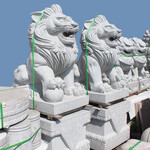 石雕狮子汉白玉石狮子专业定制传统石狮子雕刻厂家直销石狮子
