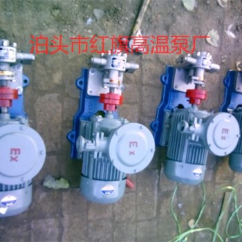 YCB系列保温泵YCB25-0.6G型齿轮泵泊头市高温泵厂
