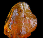 琥珀原石的拍卖成交记录鉴定