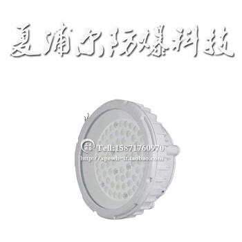 50W隔爆型LED投光燈