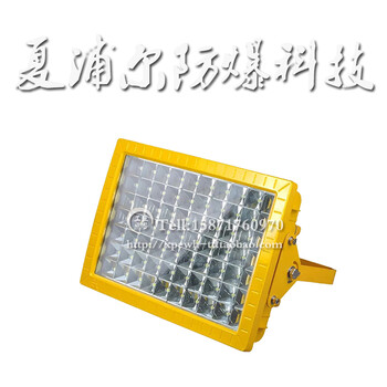 沼氣房_100W防爆燈LED工礦燈