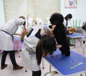 北京宠物美容师培训学校训犬师技术培训开宠物店指导