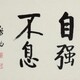 启功字画20931920029691