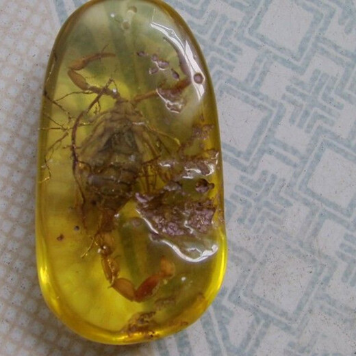 石琥珀現(xiàn)金收購流程麻煩不