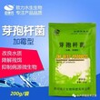 芽孢杆菌批发零售1000亿/克高含量芽孢杆菌供应图片