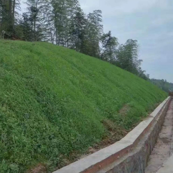 矿山生态复绿用植生袋植草护坡黄冈准用草籽草种