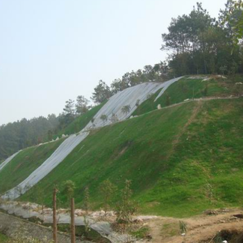 湖北三水園林綠化工程草籽有限公司