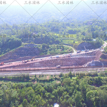 襄陽礦山大面積復(fù)綠的草種的種子
