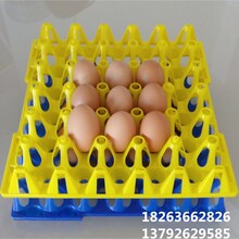 种蛋蛋托供应鸡蛋蛋托鸡蛋固定蛋托