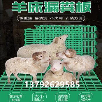 羊用漏粪板羊床羊床漏粪地板
