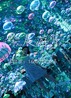 紫晨游樂星空藝術(shù)館水母世界云母空間廠家