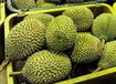 椰子進口清關國外需要提供衛生證，青島水果進口清關代理