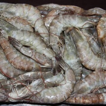 厄瓜多尔白虾进口报关流程，青岛海鲜进口报关代理公司