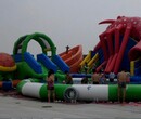 东海1米大型成人游泳儿童戏水池充气水滑梯租赁图片