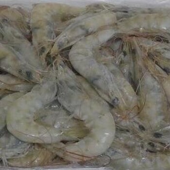 印度南美白虾进口清关代理，青岛海鲜进口清关公司