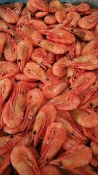 北极甜虾进口清关流程，青岛水产品清关公司资质