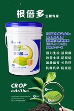 大棚蔬菜沖施肥水溶肥推薦圖片