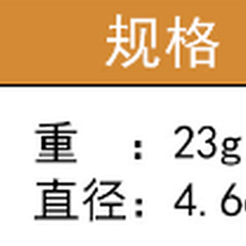 加拿大國際迎春拍推薦天啟通寶