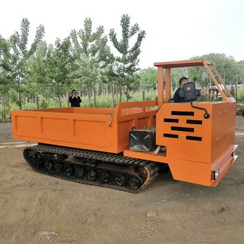 农用车运石头木材修公园水库3.5吨小型柴油履带运输车