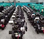 厂家生产2110柴油机潍柴全柴双缸柴油机