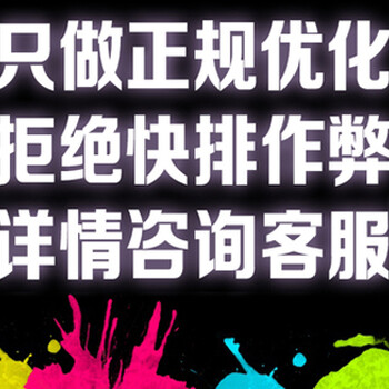 广州SEO优化网站优化推广整站SEO优化外包SEO网络营销推广