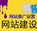 网络营销网站建设项目，同行低价建站运营，企业网站建设全包