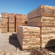 辐射松实木集成板材工程工地用建筑木方定制沪兴木业图片