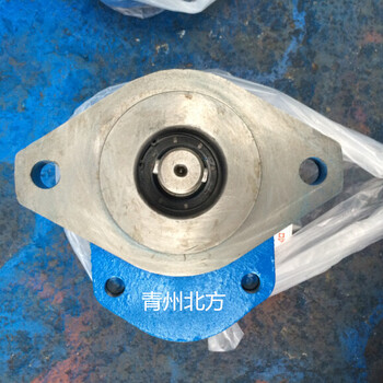 青州北方齿轮泵液压泵CBG1025单泵工程机械、起重机械和矿山机械