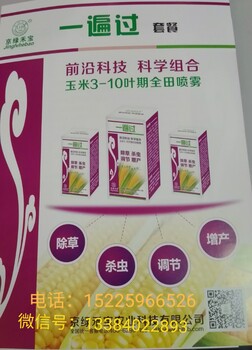 玉米除草劑—一遍過