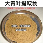 大青叶提取物，抗炎抗菌畜禽保健添加剂兽药原料和饲料