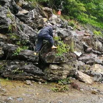 大英石批發(fā)基地8廣東大型英石廠家園林假山石材圖片