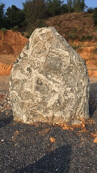 小区后花园泰山石摆景泰山石组合庭院景观石