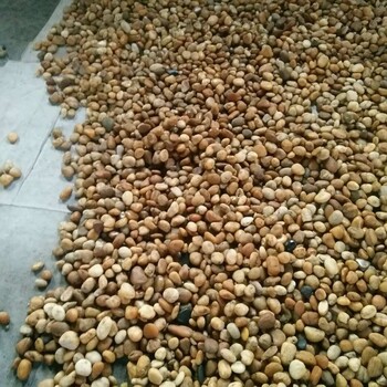 廣東雜色鵝卵石出售鵝卵石廠家大量現貨鋪路裝飾石材石料