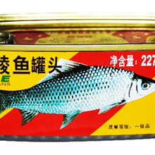 豆豉鲮鱼罐头检测