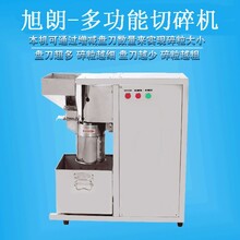 济南多功能切碎机不锈钢咸蛋打碎机