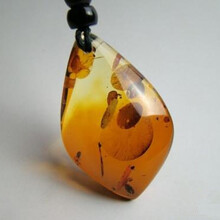 2019年天然琥珀好私下交易嗎